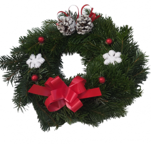 img_20211218_113333-removebg-preview.png